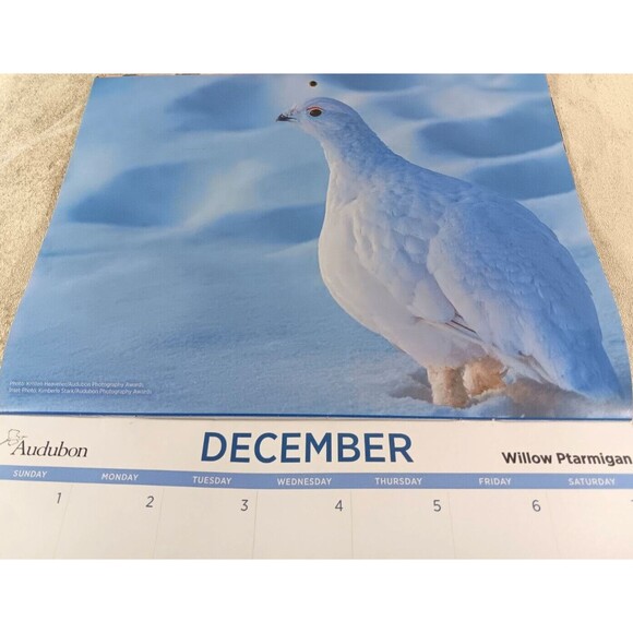 Audubon Society 2024 Wall Calendar 12 Months Protecting Birds and Nature - Picture 12 of 12